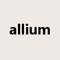 allium是什么意思