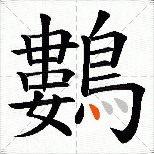 鷜