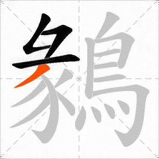 鶨