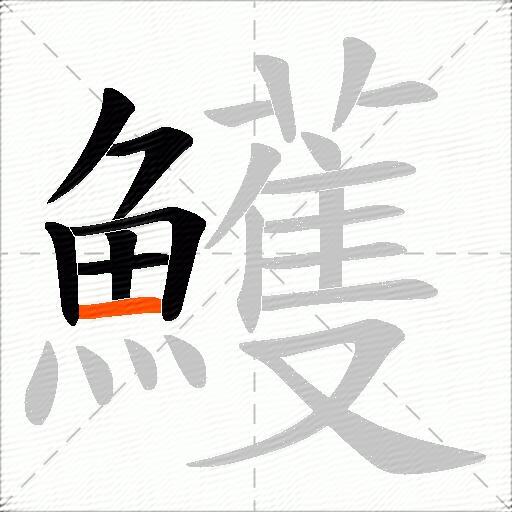 鱯