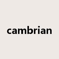 cambrian是什么意思