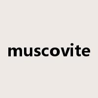 muscovite是什么意思
