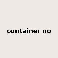 container no是什么意思