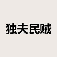 独夫民贼是什么意思