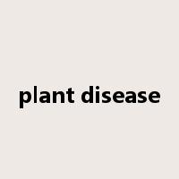 plant disease是什么意思