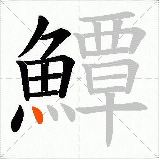 鱏