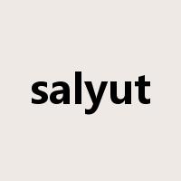 salyut是什么意思