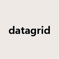 datagrid是什么意思