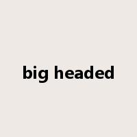 big headed是什么意思