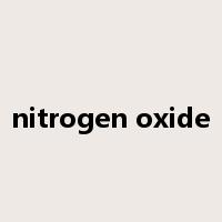 nitrogen oxide是什么意思