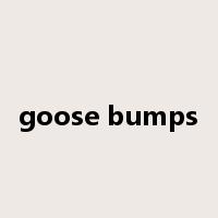 goose bumps是什么意思