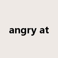 angry at是什么意思