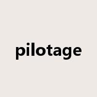 pilotage是什么意思