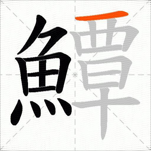 鱏