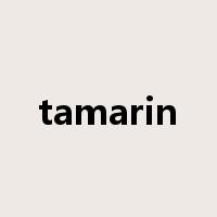 tamarin是什么意思
