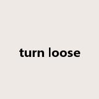 turn loose是什么意思