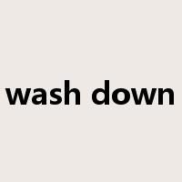 wash down是什么意思
