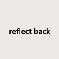 reflect back是什么意思