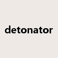 detonator是什么意思