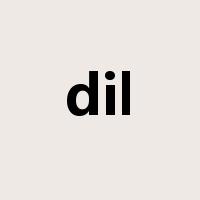 dil是什么意思