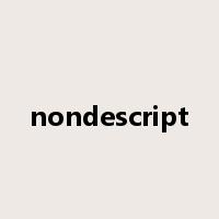 nondescript是什么意思