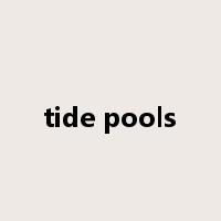 tide pools是什么意思