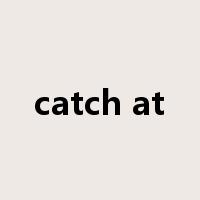 catch at是什么意思