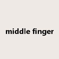 middle finger是什么意思