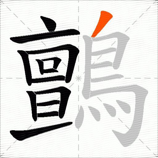 鸇