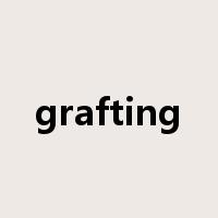 grafting是什么意思