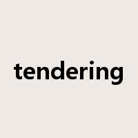 tendering是什么意思