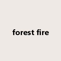 forest fire是什么意思