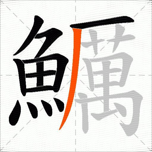 鱱