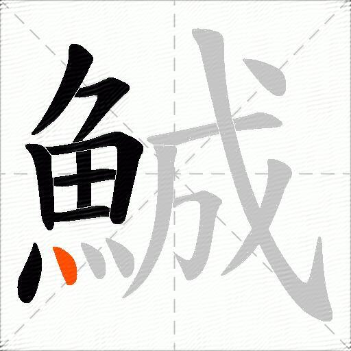 鯎