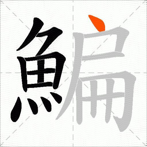鯿