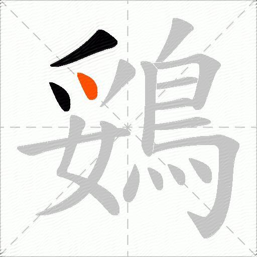 鵎