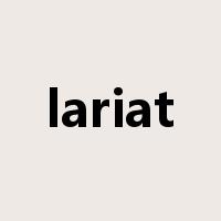 lariat是什么意思