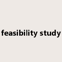 feasibility study是什么意思