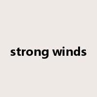 strong winds是什么意思