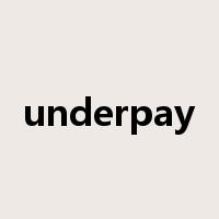 underpay是什么意思