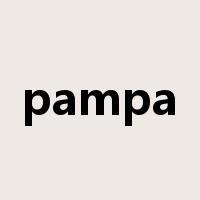 pampa是什么意思