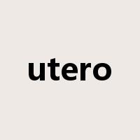utero是什么意思