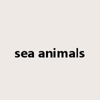 sea animals是什么意思