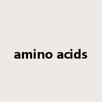 amino acids是什么意思