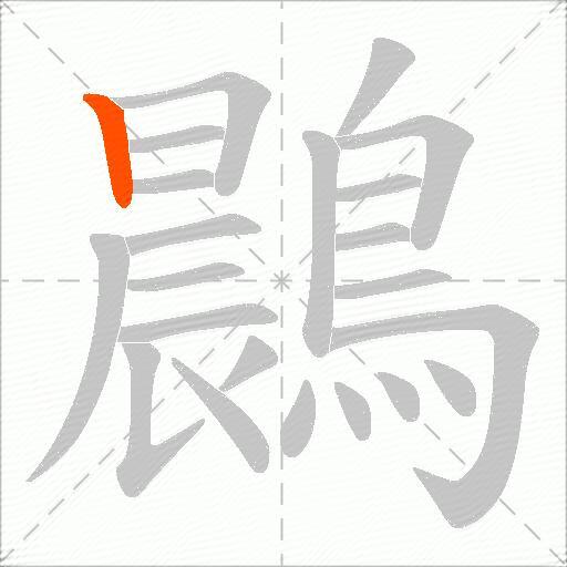 鷐