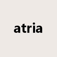 atria是什么意思