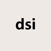 dsi是什么意思