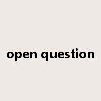 open question是什么意思