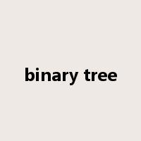 binary tree是什么意思