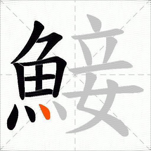 鯜
